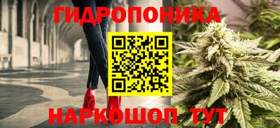 гидропоника Балахна